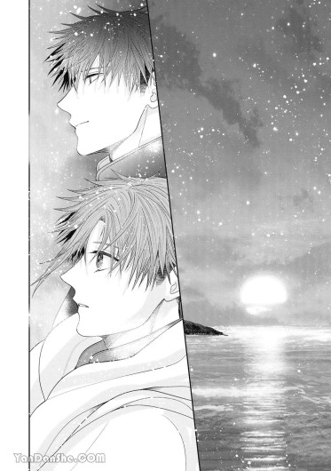 Page 221