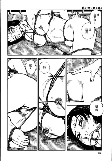 Page 216