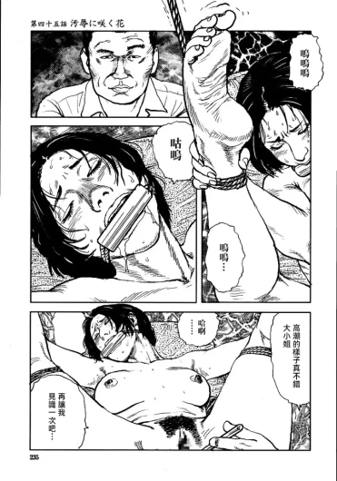 Page 241
