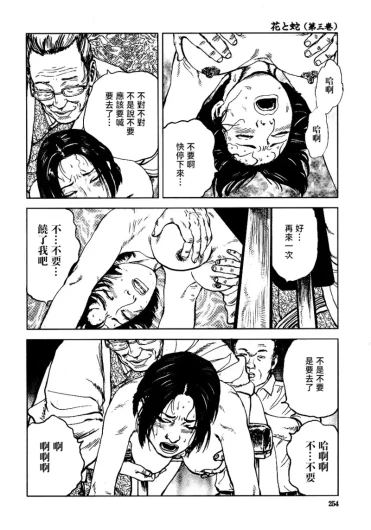 Page 260