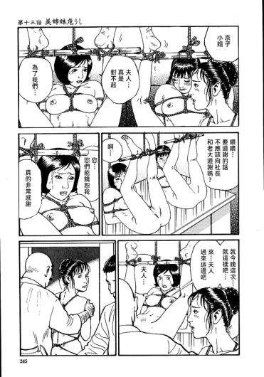 Page 251