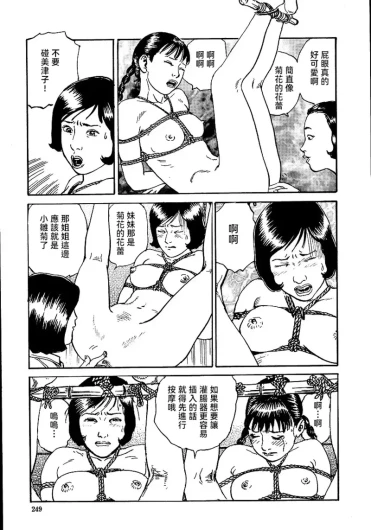 Page 255