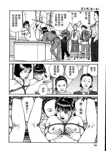 Page 256