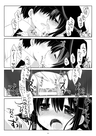 Page 101