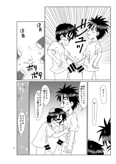 Page 31