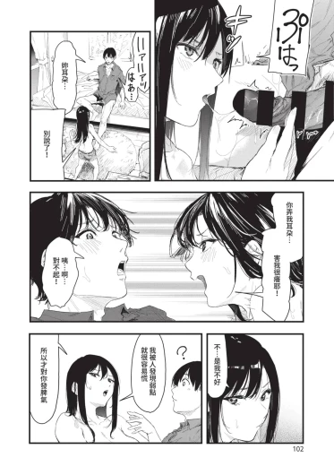 Page 102