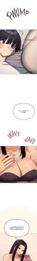 Page 271