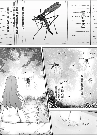 Shunin×Crane fly