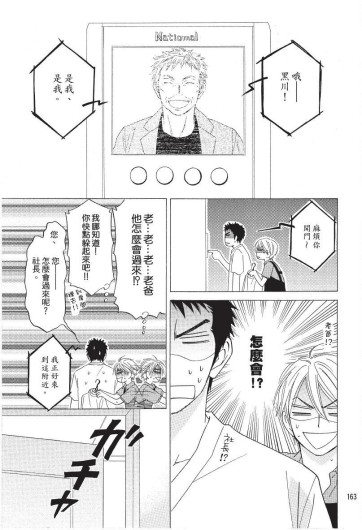 Page 163