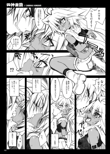 Page 102