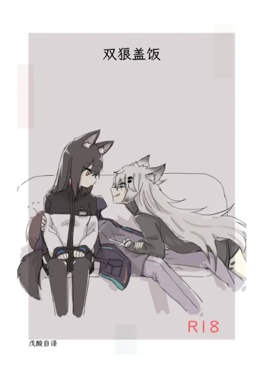 双狼盖饭(明日方舟)|アークナイツのオオカミ丼(Arknights)|戊酸自译