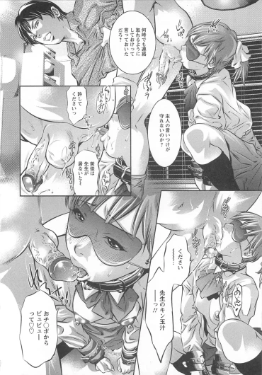 Page 333