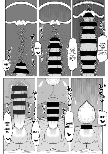 Page 455