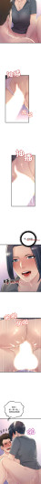 Page 333