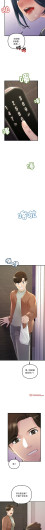 Page 335