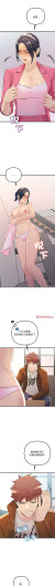 Page 503
