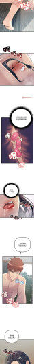 Page 516