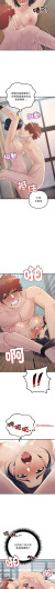 Page 518