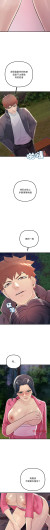 Page 529