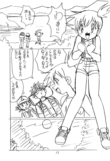 Page 17